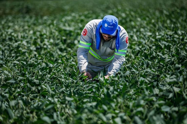 COFCO International desenvolve sistema de diligência com foco em Direitos Humanos