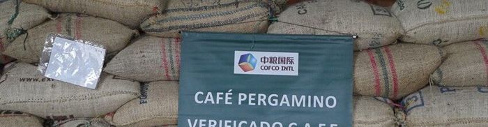 Apoio ao café sustentável na remota região de Tolima, na Colômbia